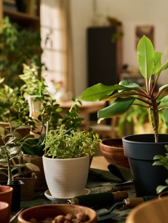 Lighting on a Budget: Why 'Shop Lights' Outperform Expensive 'Grow Lights'