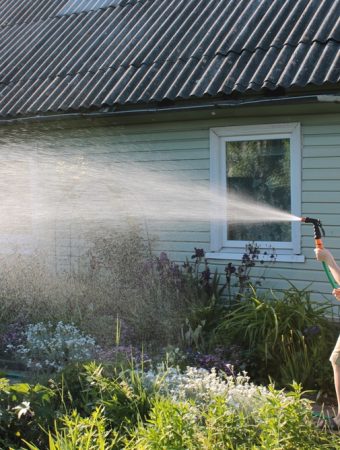Stop Overwatering: The Free Finger Test That Saves Your Water Bill