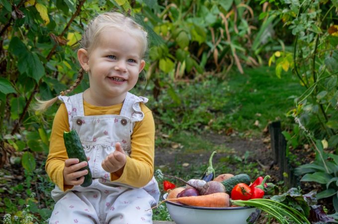 Succession Planting: The Secret to Eating from Your Garden Every Single Week