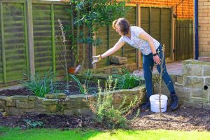 The Over-Fertilizing Trap: Why Your Expensive Store-Bought Food is Killing Your Crops