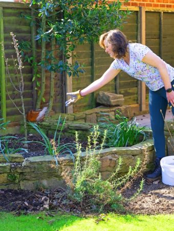 The Over-Fertilizing Trap: Why Your Expensive Store-Bought Food is Killing Your Crops