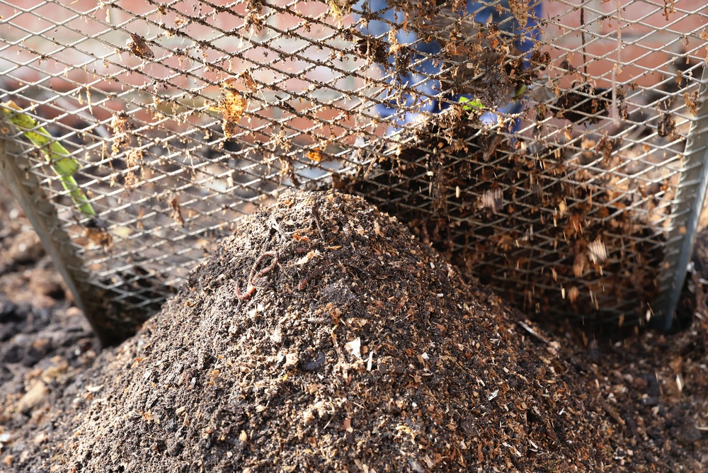 Forget Fancy Fertilizers: The 'Compost Tea' Recipe That Costs Zero Dollars