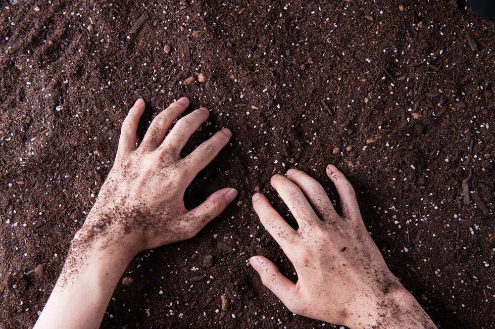 Stop Overwatering: The Free Finger Test That Saves Your Water Bill