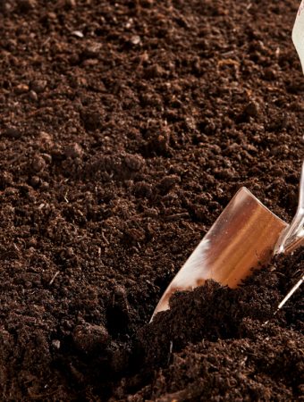 The Facebook Marketplace Trick for Free High-Quality Topsoil