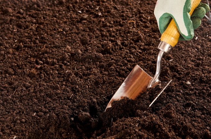 The Facebook Marketplace Trick for Free High-Quality Topsoil
