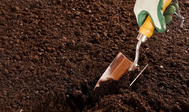 The Facebook Marketplace Trick for Free High-Quality Topsoil