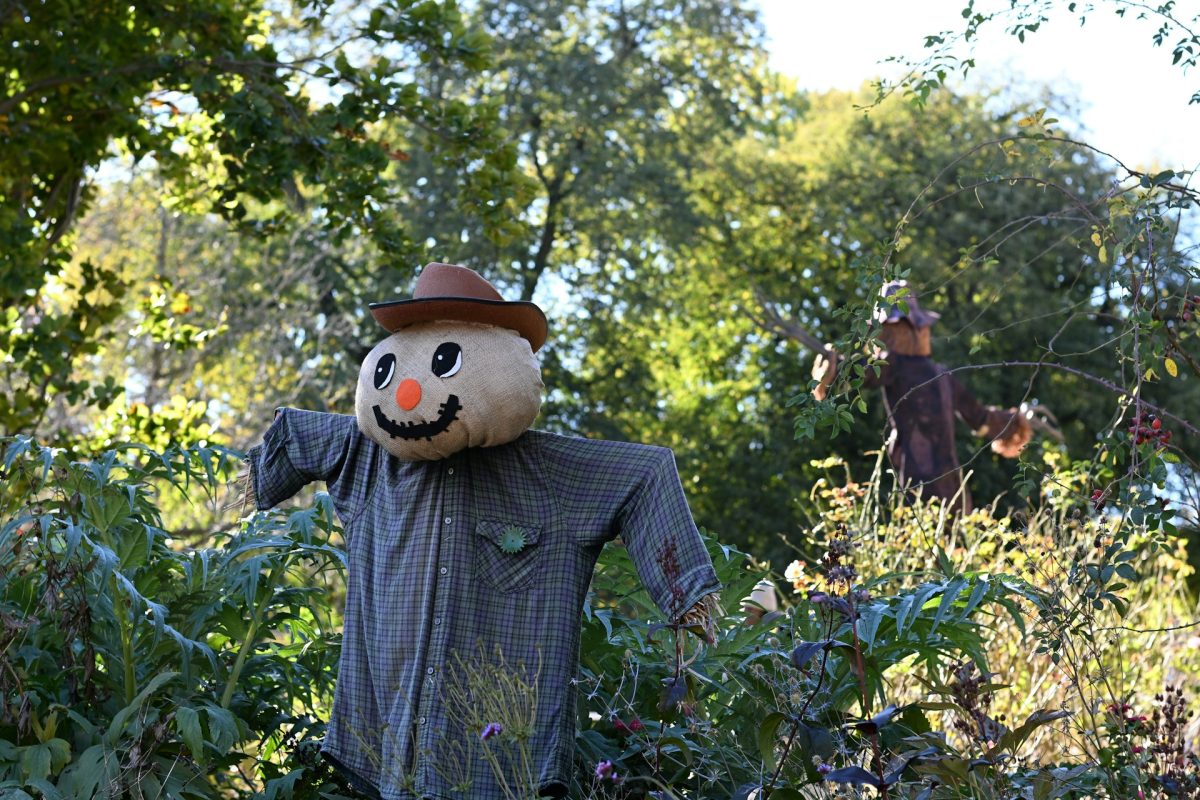 5 DIY Bird Deterrents That Protect Seeds and Seedlings