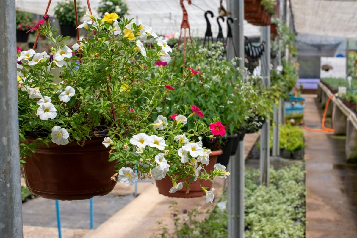 Why Thrifty Gardeners are Raiding the Thrift Store for 'Planters'