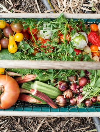 5 Budget Vegetable Patch Designs for Small Yards