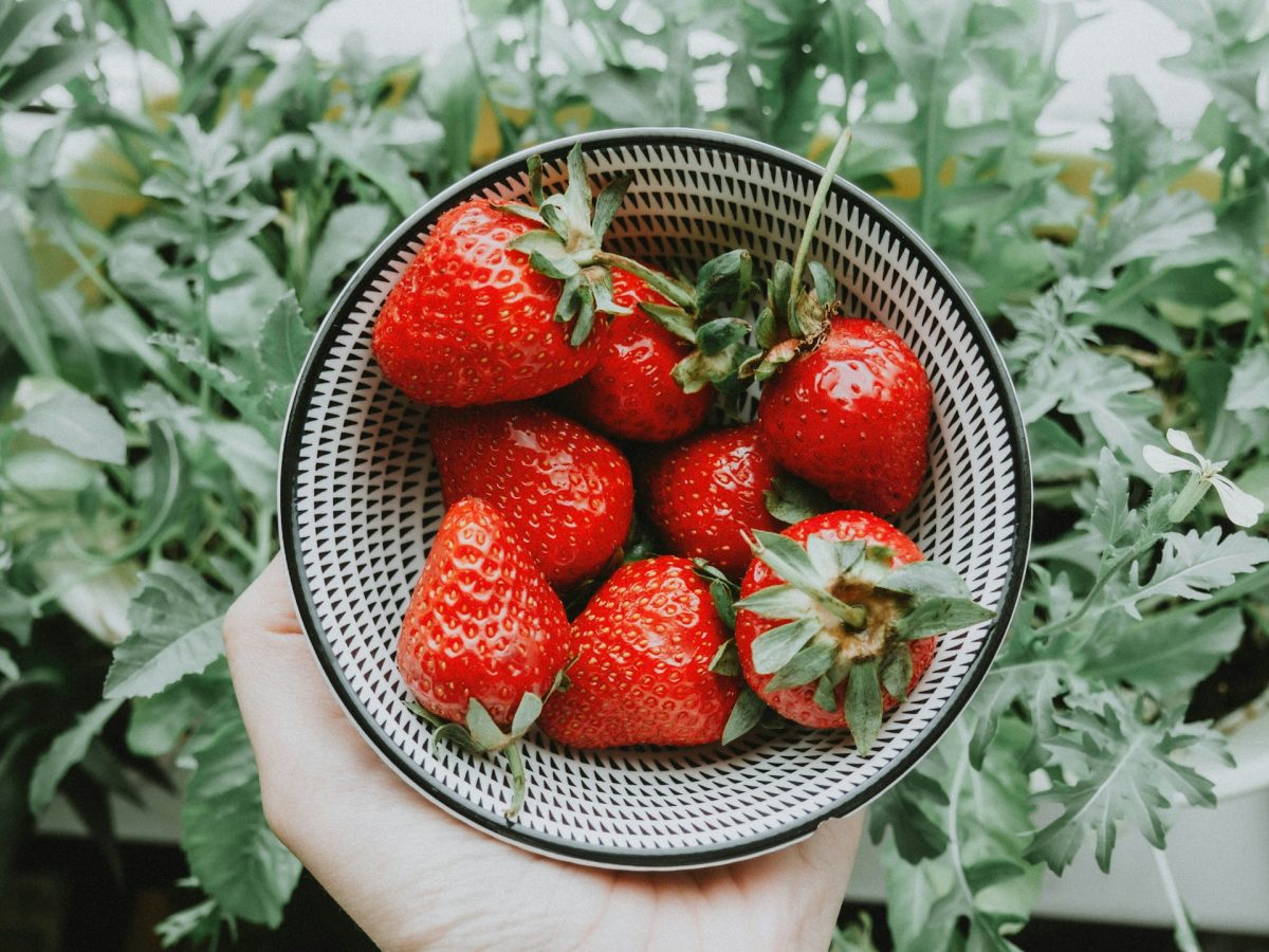 8 Reliable Choices for Container Gardening Success