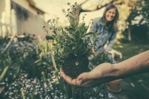 5 Proven Gardening Shortcuts That Save Time