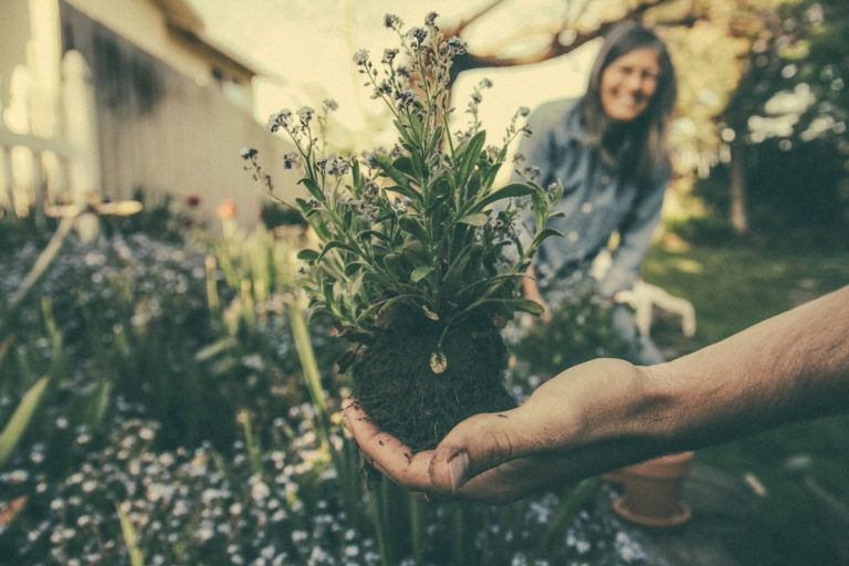 5 Proven Gardening Shortcuts That Save Time