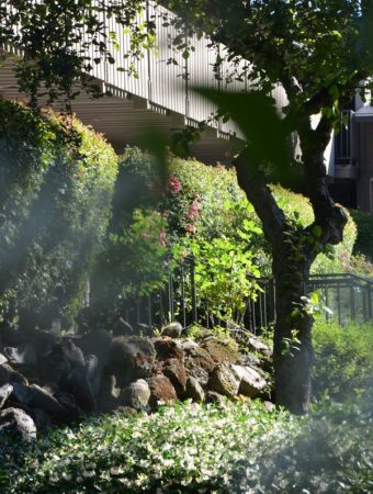 7 Shade-Friendly Options That Handle Warmer Days Better Than Expected