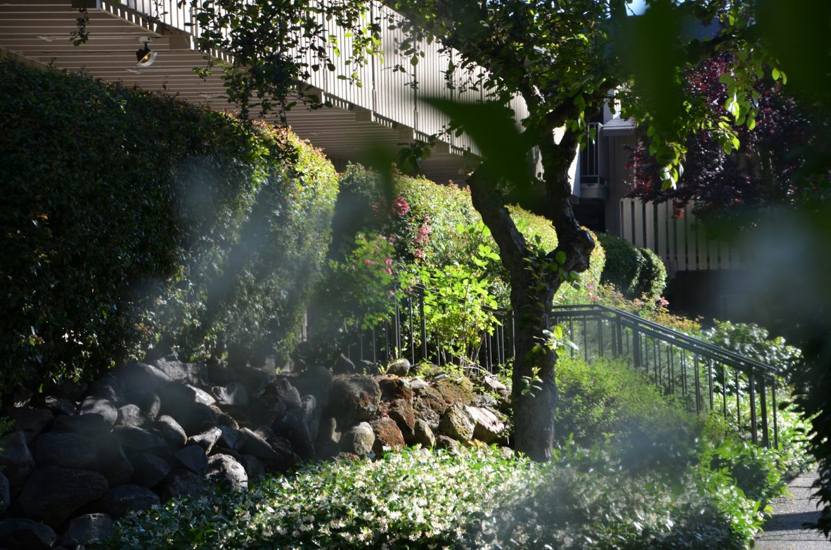 7 Shade-Friendly Options That Handle Warmer Days Better Than Expected