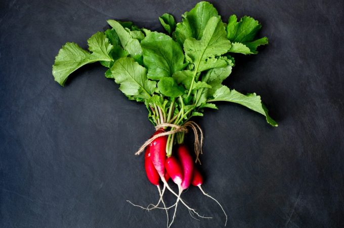 7 Quick-Germinating Seeds That Deliver Fast Results