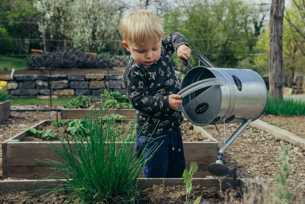 8 Beginning Gardening Tips That Will Make You a Better Grower