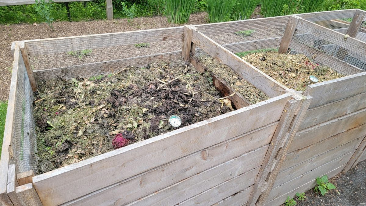 Why Adding Compost Now Can Transform Soil Quality