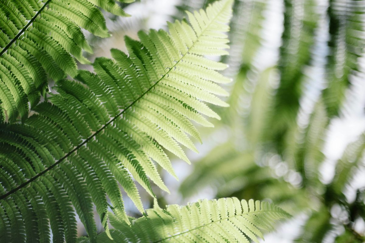 7 Shade-Friendly Options That Handle Warmer Days Better Than Expected