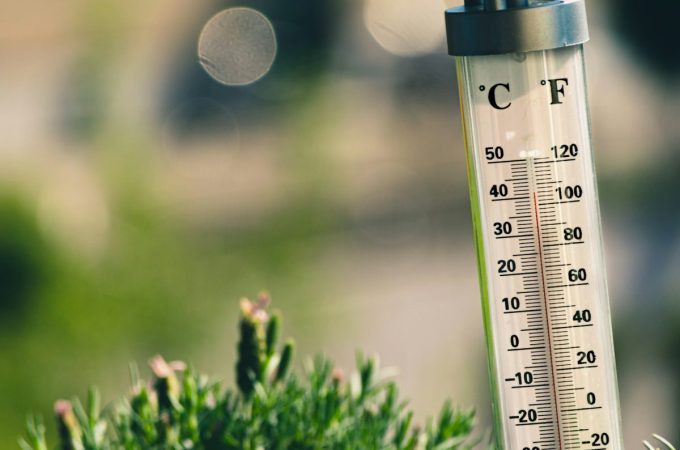 The Early Heat Stress Problem in Young Gardens