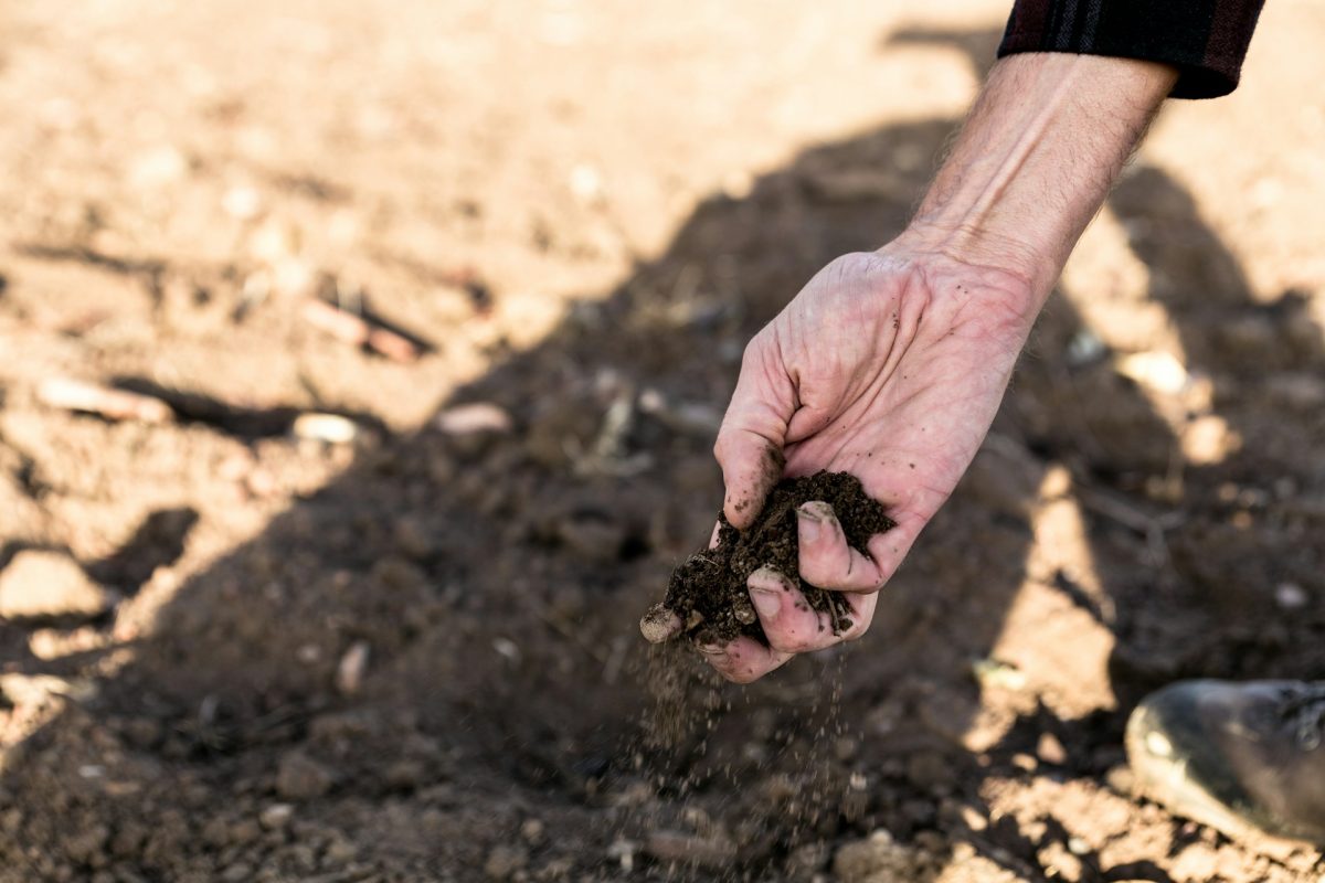 5 Fertilizer Errors That Reduce Yields Without You Noticing