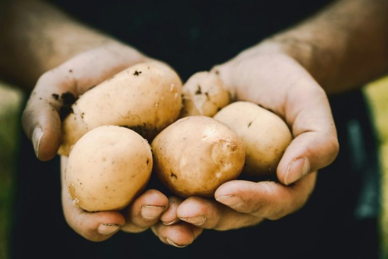 5 Tough Crops That Perform Well in Poor Soil