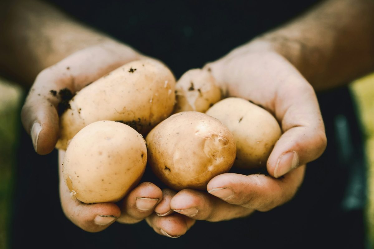 5 Tough Crops That Perform Well in Poor Soil
