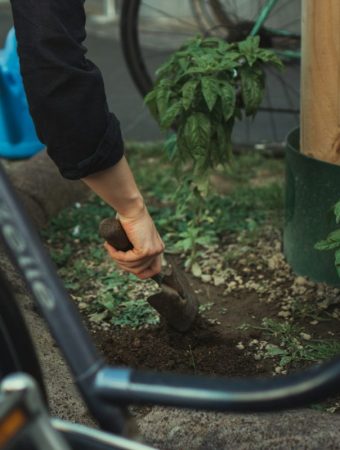 The Soil Compaction Problem That Limits Root Expansion
