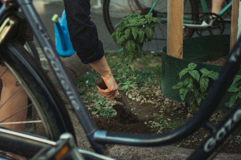 The Soil Compaction Problem That Limits Root Expansion