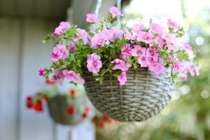 8 Space-Saving Picks Ideal for Small Yards