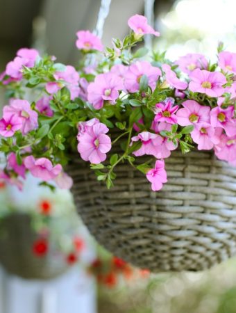 8 Space-Saving Picks Ideal for Small Yards