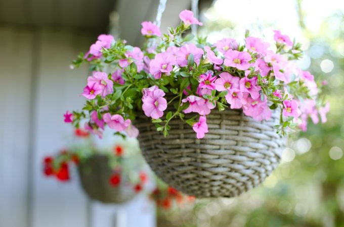 8 Space-Saving Picks Ideal for Small Yards