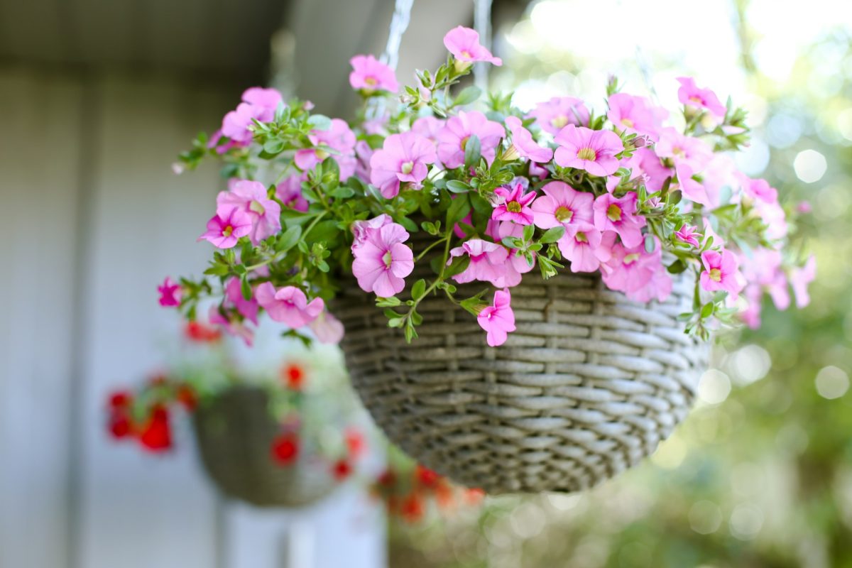 8 Space-Saving Picks Ideal for Small Yards