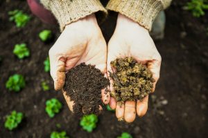 Why Soil Testing Matters More Before Summer Than Any Other Time