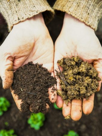 Why Soil Testing Matters More Before Summer Than Any Other Time