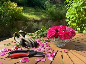 7 Time-Saving Tools That Improve Garden Efficiency