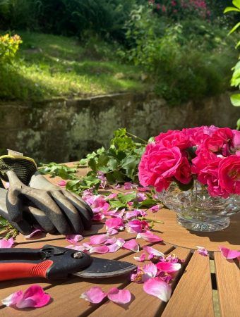 7 Time-Saving Tools That Improve Garden Efficiency