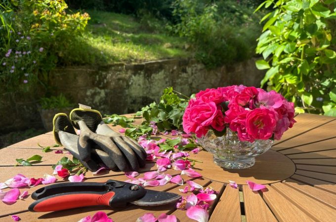 7 Time-Saving Tools That Improve Garden Efficiency