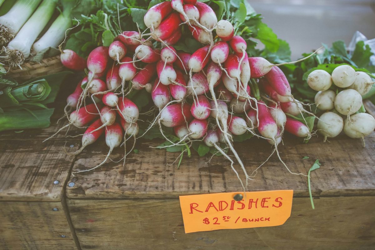 6 Fast-Growing Crops Ready to Harvest in Just Weeks