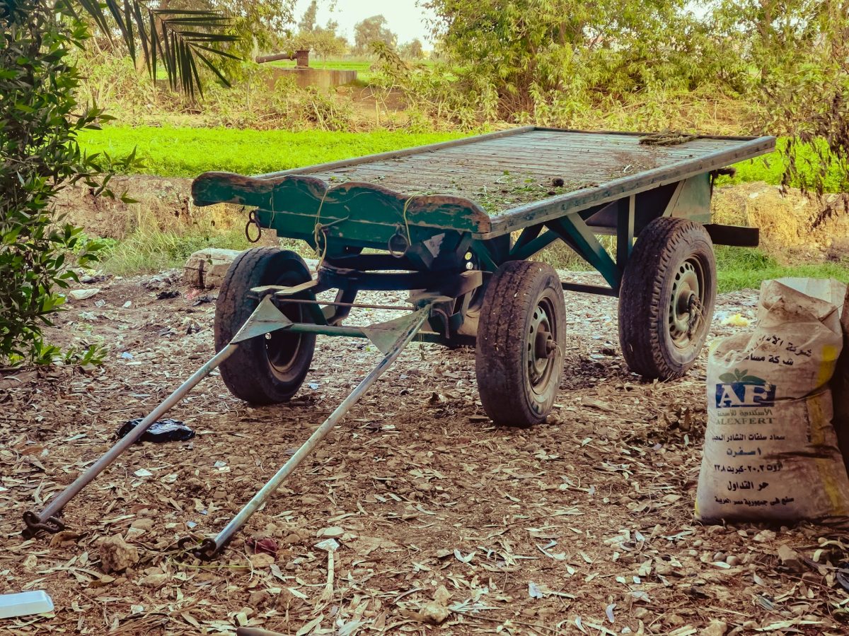 7 Time-Saving Tools That Improve Garden Efficiency
