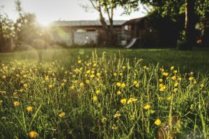 6 Heat-Resistant Options That Hold Up as Temperatures Climb