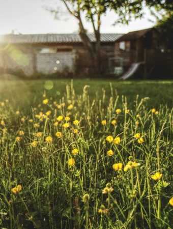 6 Heat-Resistant Options That Hold Up as Temperatures Climb
