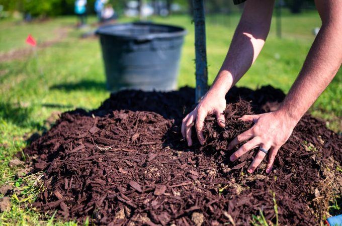 5 Budget-Friendly Gardening Tips That Actually Work