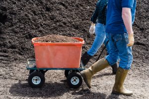 5 Natural Fertilizing Methods That Actually Work