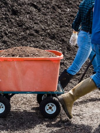 5 Natural Fertilizing Methods That Actually Work