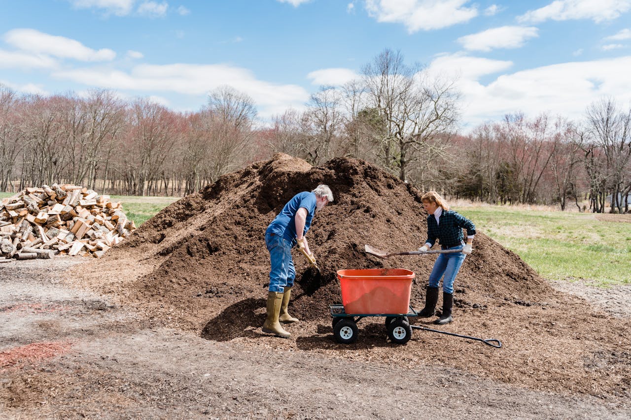 5 Soil Additions That Improve Results Within Weeks