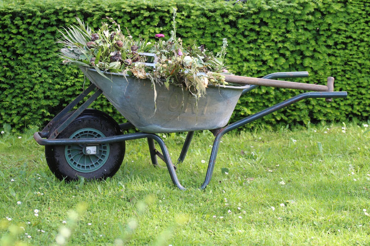 The Soil Compaction Problem That Limits Root Expansion