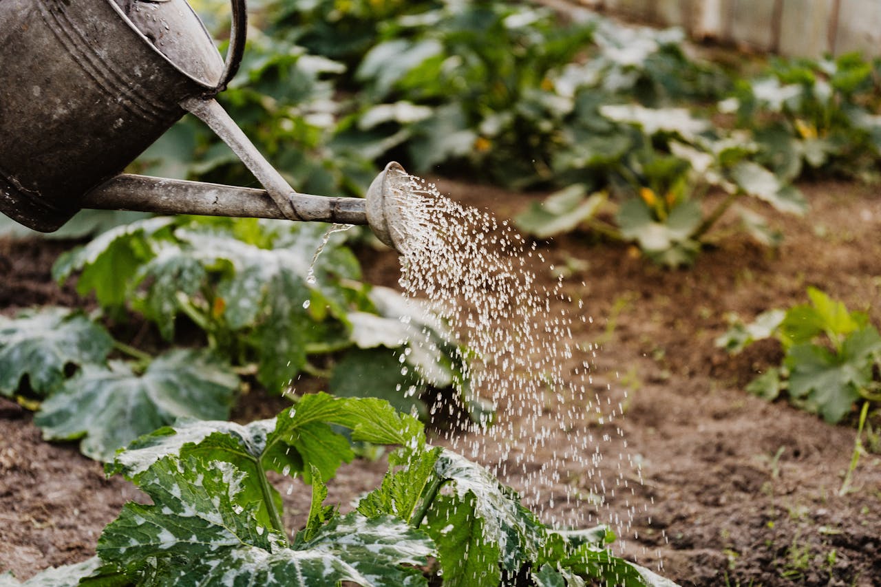 5 Pest Control Mistakes That Backfire Quickly