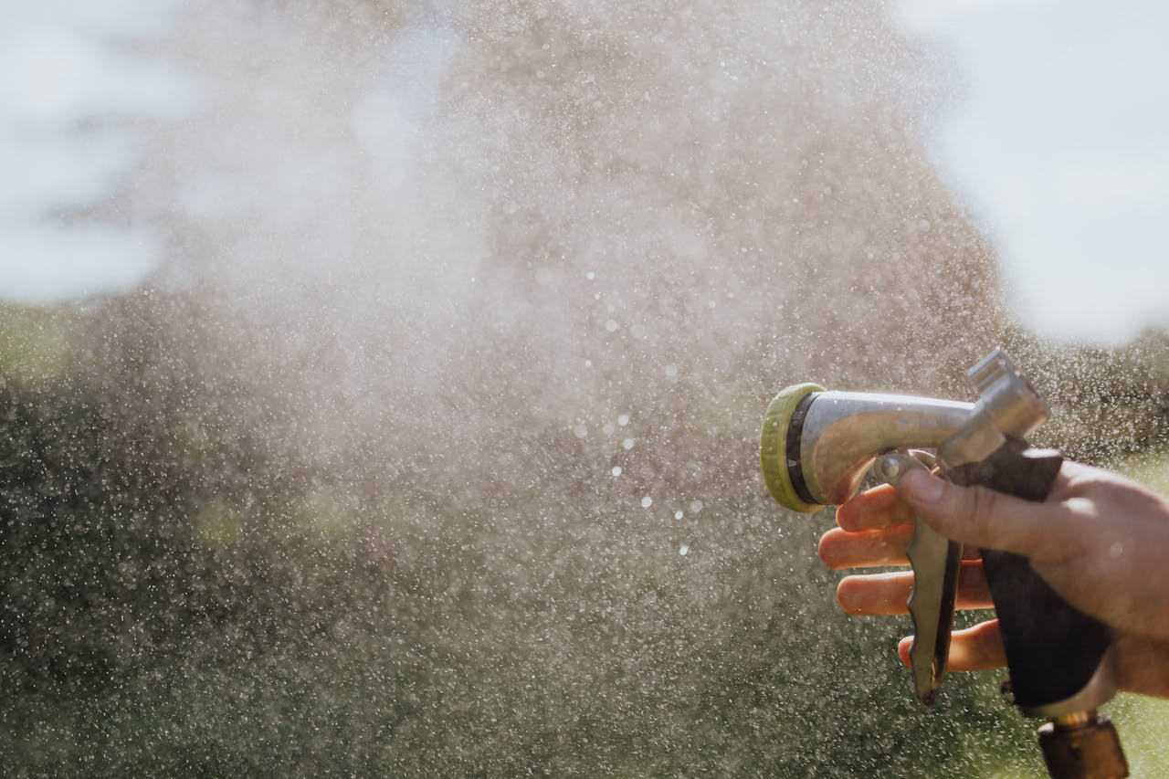 The Early Heat Stress Problem in Young Gardens