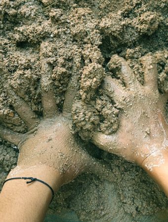 6 Selections That Perform Well in Clay Soil