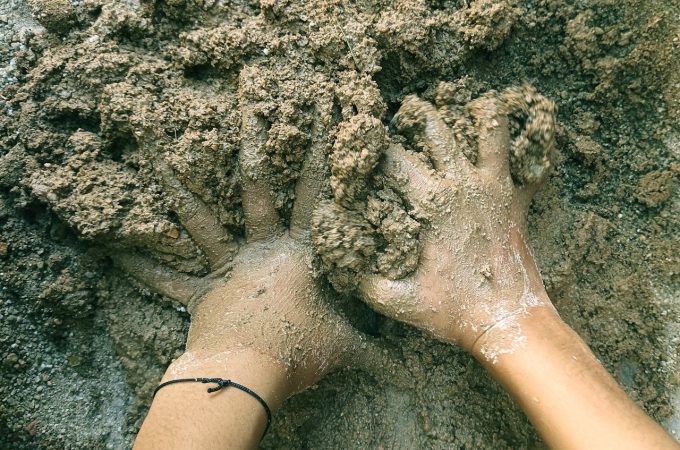 6 Selections That Perform Well in Clay Soil